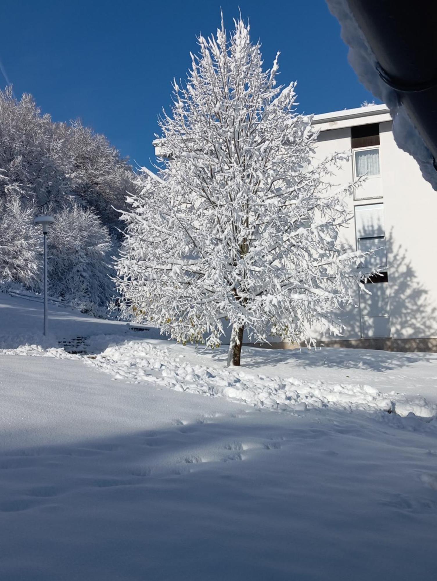 Plitvice Green Apartment Plitvička Jezera المظهر الخارجي الصورة